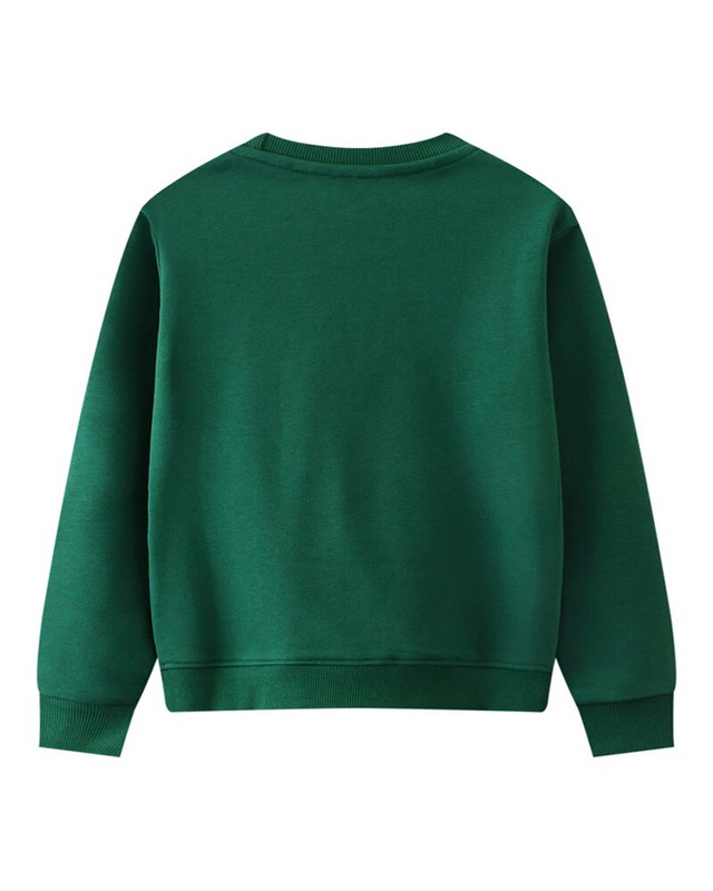 SAILEROAD Uus sügis Uus poiste riided Puuvillane Roheline Ülerõivad Multifilm Sebra Beebi Topid Väikelapsed Lapsed Pusad Pusad Pusad