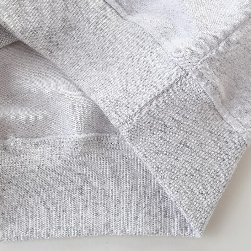 2023. aasta kevad-sügis vabaaja stiilis laste pikkade varrukatega multikas dinosauruste mustriga Beebi laste dressipluus poiste ja tüdrukute pullover