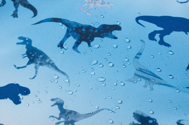 Zēnu dinozauru lietus jakas ar noņemamu kapuci Viegli ūdensnecaurlaidīgi vējjakas lietusmēteļi
