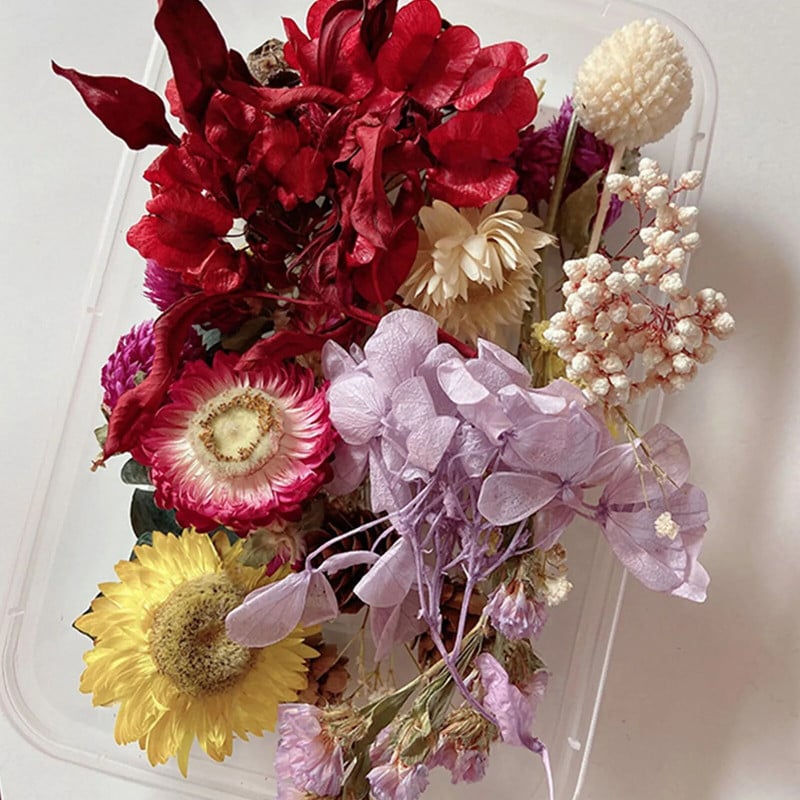 Naturaalsete kuivatatud lillede komplekt Pressitud kunstiteosed käsitöö lehed ürdid isetegemise kuivad taimed lõhnaküünlad käsitööna kodukaunistuseks kingitused