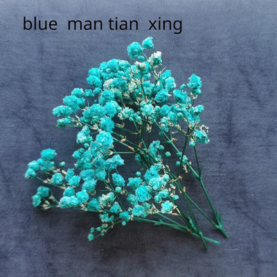 Illatos gyertya dekoratív szárított virág barkácsolás viasz márka kerek ventilátor gyártási anyagok szójabab viasz természetes szárított virág anyagok