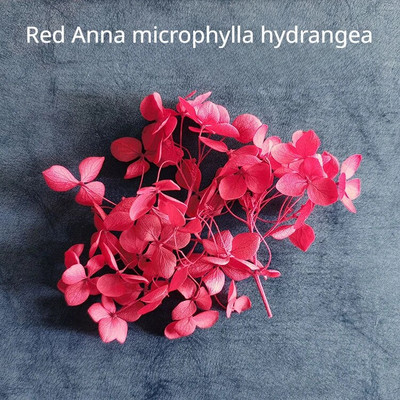 Illatos gyertya dekoratív szárított virág barkácsolás viasz márka kerek ventilátor gyártási anyagok szójabab viasz természetes szárított virág anyagok