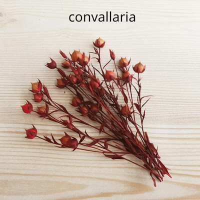 Illatos gyertya dekoratív szárított virág barkácsolás viasz márka kerek ventilátor gyártási anyagok szójabab viasz természetes szárított virág anyagok