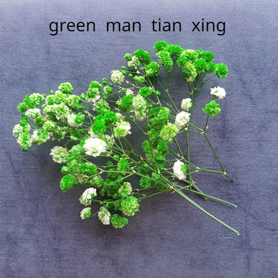 Illatos gyertya dekoratív szárított virág barkácsolás viasz márka kerek ventilátor gyártási anyagok szójabab viasz természetes szárított virág anyagok