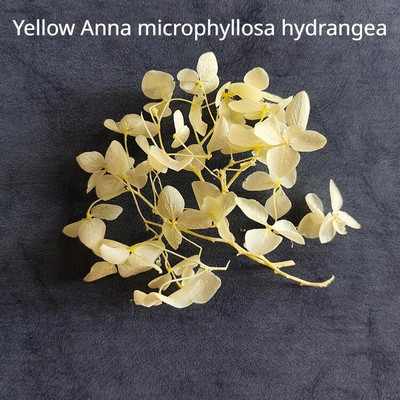 Illatos gyertya dekoratív szárított virág barkácsolás viasz márka kerek ventilátor gyártási anyagok szójabab viasz természetes szárított virág anyagok