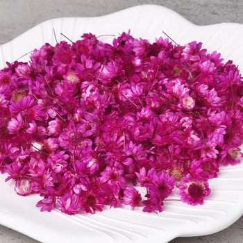 710 τμχ Λουλούδια Little Star Flower Head Κερί DIY Craft εποξειδική ρητίνη Κατασκευή κοσμημάτων Διακόσμηση πάρτι σπιτιού Τύπος λουλούδια