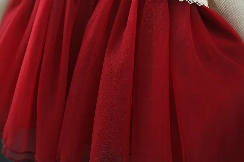 Ανοιξιάτικα Νεογέννητα Βρεφικά Ρούχα Δαντελένια Κέντημα Φόρεμα για βρέφη Κοριτσάκι Πανί 1 Τ Βρεφικά γενέθλια Χριστουγεννιάτικο Φόρεμα Πριγκίπισσας TUTU