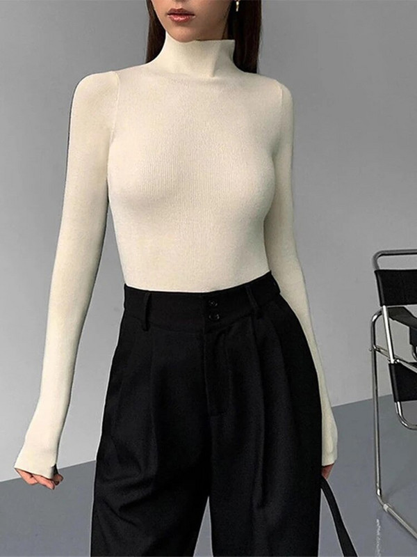 Garās piedurknes, šauras, sadursmes, džemperis, džemperis, bruņurupucis, trikotāžas krekls.