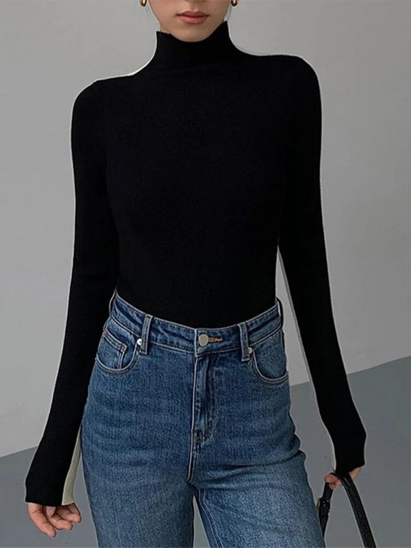 Garās piedurknes, šauras, sadursmes, džemperis, džemperis, bruņurupucis, trikotāžas krekls.