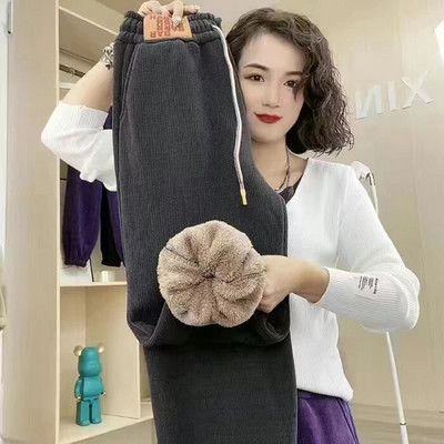 2023. gada ziemas biezas, siltas velveta harēma bikses korejiešu modernas, jaunas modes sieviešu bikses, ielu apģērbs, klasiskas bikses ar augstu vidukli