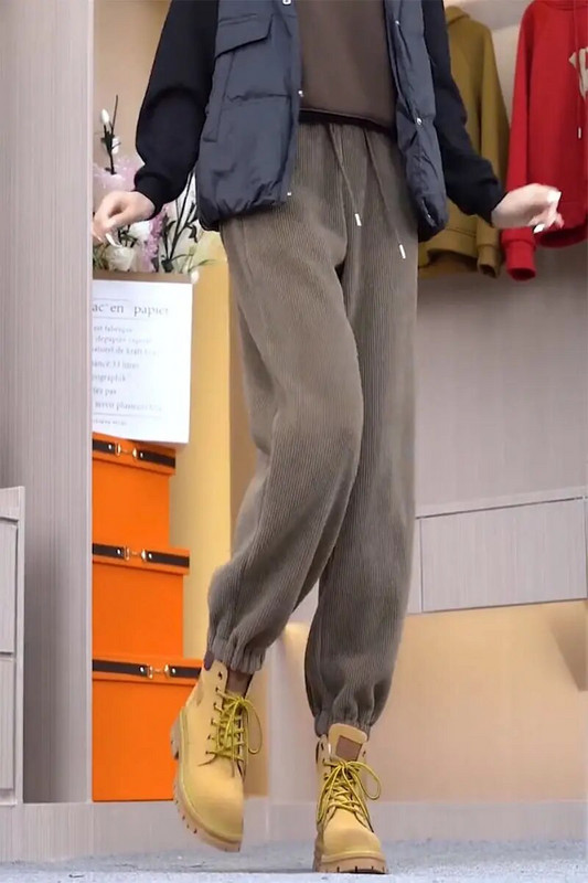 2023. gada ziemas biezas, siltas velveta harēma bikses korejiešu modernas, jaunas modes sieviešu bikses, ielu apģērbs, klasiskas bikses ar augstu vidukli