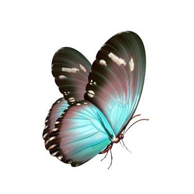 Skaista, ar rokām zīmēta tauriņa auto uzlīme karikatūra stila modes motociklu aksesuāri PVC dekoratīvā ūdensnecaurlaidīgā uzlīme 14*11cm