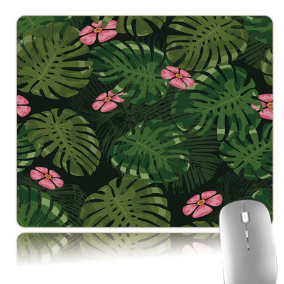 Pārnēsājams mazs peli