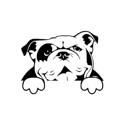 Naljepnice za dodatnu opremu automobila Smiješni pas s imenom Naljepnica za automobile Psi kućni ljubimci Životinje Vinilna naljepnica za prijenosno računalo za Apple MacBook Pro/Air Dekoracija