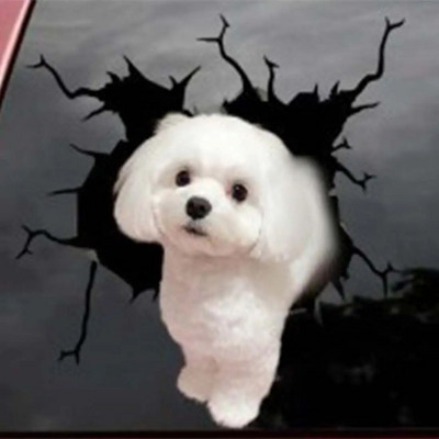 3D automašīnu uzlīme, beisbola sitiens, logs, automašīnas, automašīnas, motocikli, bamperis, logs, durvis, korpuss, ūdensnecaurlaidīgas uzlīmes, automobiļu aksesuāri.