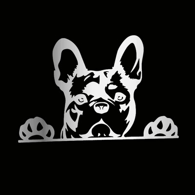 Automašīnas uzlīme Paws up franču buldogs francūzis kauslis suns rotājums vinila auto uzlīme atstarojoša lāzera 3D auto uzlīmes auto stils