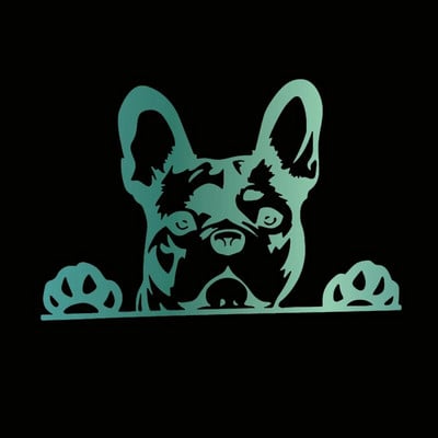 Automašīnas uzlīme Paws up franču buldogs francūzis kauslis suns rotājums vinila auto uzlīme atstarojoša lāzera 3D auto uzlīmes auto stils