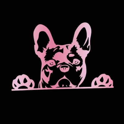 Automašīnas uzlīme Paws up franču buldogs francūzis kauslis suns rotājums vinila auto uzlīme atstarojoša lāzera 3D auto uzlīmes auto stils