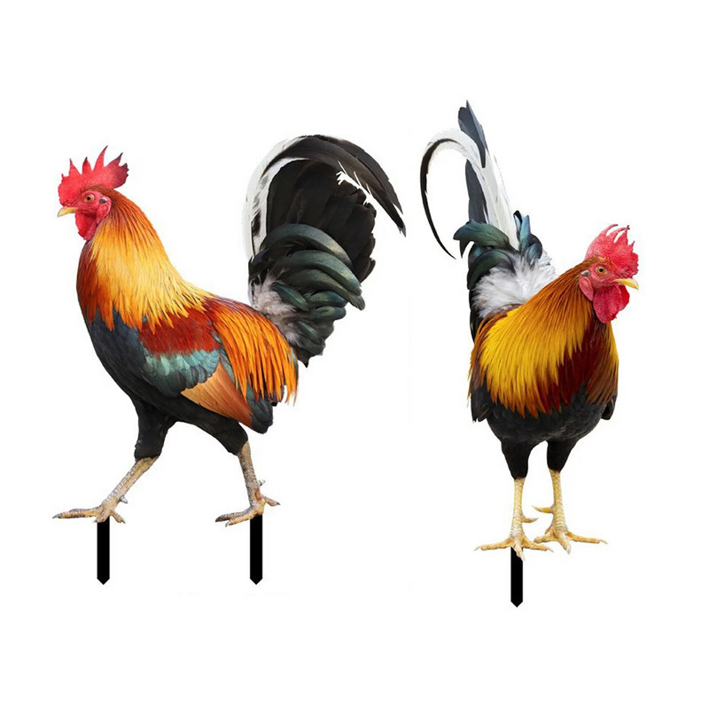 Kukekuju dekoratiivsed panused Realistlik elusarnane kahepoolne aiakuju akrüülist kanaaia kunstskulptuur õue