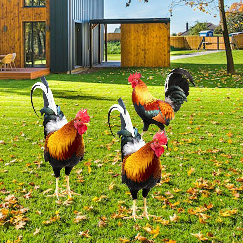 Kukekuju dekoratiivsed panused Realistlik elusarnane kahepoolne aiakuju akrüülist kanaaia kunstskulptuur õue