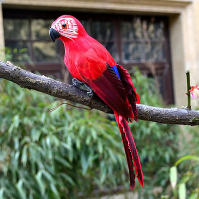 35 cm/25 cm ar rokām darināta simulācija papagailis radoša spalva zāliena figūriņa ornaments dzīvnieks putns dārzs putnu rekvizīts miniatūra