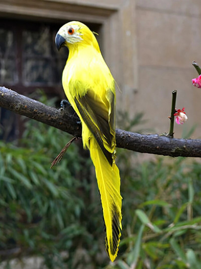 35 cm/25 cm ar rokām darināta simulācija papagailis radoša spalva zāliena figūriņa ornaments dzīvnieks putns dārzs putnu rekvizīts miniatūra