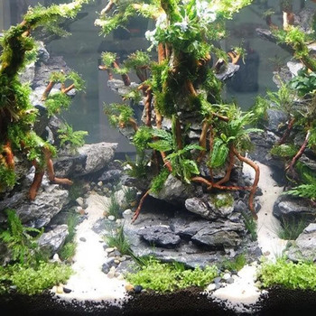 Аквариум Микро Пейзаж Естествено дърво Корен Ствол Дърво Направи си сам Орнаменти за домашен аквариум Консумативи