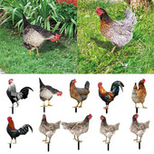 Akrüülist Kukekujud Kahepoolne trükkimine Skulptuurid Kanakaunistused Aiakaunistused Välisõue Kunstkaunistused