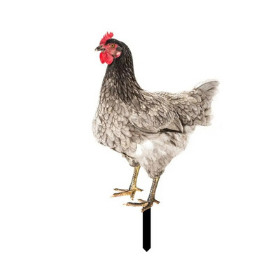 Akrüülist Kukekujud Kahepoolne trükkimine Skulptuurid Kanakaunistused Aiakaunistused Välisõue Kunstkaunistused