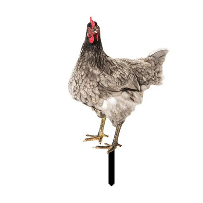 Akrüülist Kukekujud Kahepoolne trükkimine Skulptuurid Kanakaunistused Aiakaunistused Välisõue Kunstkaunistused