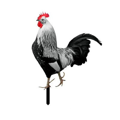 Akrüülist Kukekujud Kahepoolne trükkimine Skulptuurid Kanakaunistused Aiakaunistused Välisõue Kunstkaunistused