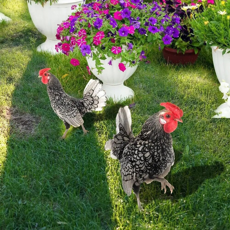 Akrüülist Kukekujud Kahepoolne trükkimine Skulptuurid Kanakaunistused Aiakaunistused Välisõue Kunstkaunistused