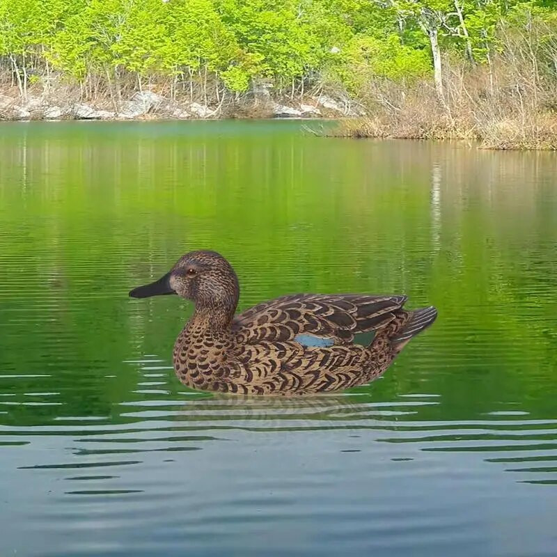 Ziemeļvalstu peldošā pīle māneklis pīles Simulācija Medības Pīle Dārzs Baseina pagalms Ezers 28,5x12x17cm Mājas dekorēšana Dārza piederumi