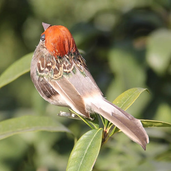 4 τεμάχια αφρού φτερά τεχνητά πουλιά Vividly Sparrow Garden Emulation Διακόσμηση Χριστουγεννιάτικο δέντρο Robin Σπίτι Εξωτερική στολίδια αυλής