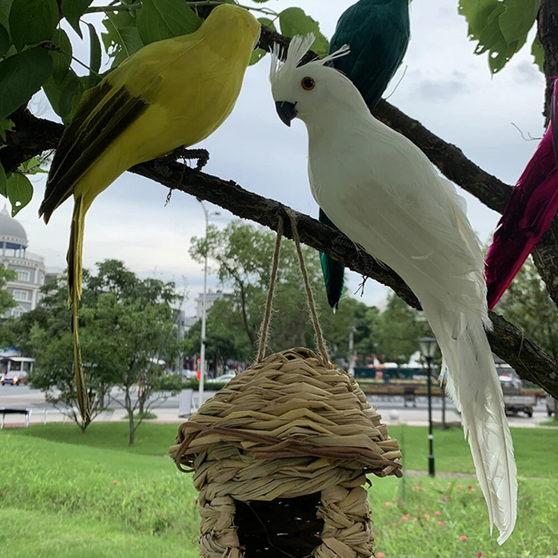 Käsitsi valmistatud vahtsulgedest kunstlik papagoi imitatsioon linnumudel Kujuke vahtlindude papagoi koduaia rekvisiidi kaunistus