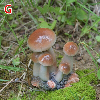 Mini dervos grybų fėja Miniatiūrinė terariumo figūrėlės Lėlių namelis „Pasidaryk pats“ amatai Sodo kraštovaizdžio ornamento puošmena Dovana