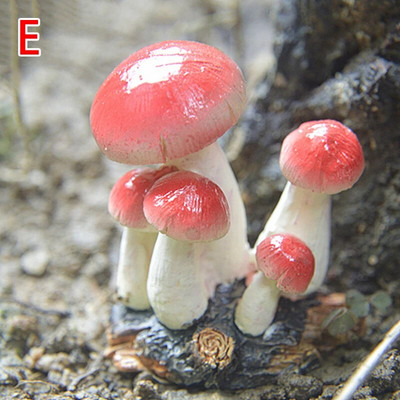 Mini dervos grybų fėja Miniatiūrinė terariumo figūrėlės Lėlių namelis „Pasidaryk pats“ amatai Sodo kraštovaizdžio ornamento puošmena Dovana