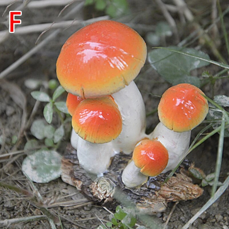 Mini dervos grybų fėja Miniatiūrinė terariumo figūrėlės Lėlių namelis „Pasidaryk pats“ amatai Sodo kraštovaizdžio ornamento puošmena Dovana