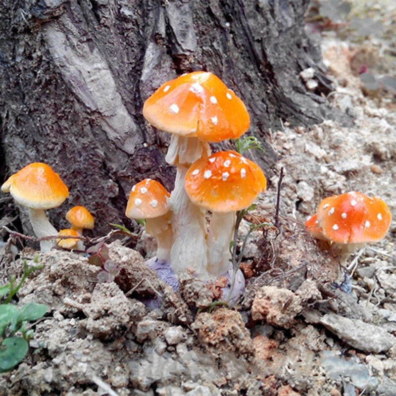 1 gab sēņu krupju sēnīšu figūriņas, sveķu miniatūras amatniecības, DIY ornaments, pasaku dārzs, rotājums, terārija leļļu mājas dekors