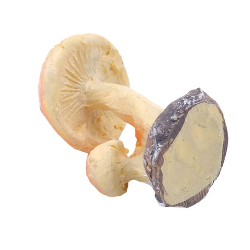 1 gab sēņu krupju sēnīšu figūriņas, sveķu miniatūras amatniecības, DIY ornaments, pasaku dārzs, rotājums, terārija leļļu mājas dekors