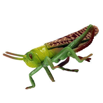 Скакалец Модел на животно Детска играчка за насекоми Когнитивни Забавни скакалец Пластмасови модели Играчки на открито