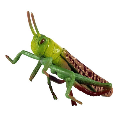 Скакалец Модел на животно Детска играчка за насекоми Когнитивни Забавни скакалец Пластмасови модели Играчки на открито