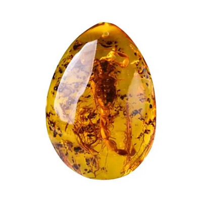 Kukaiņu akmens dabīgie skorpioni iekļaušana Dzintara Baltijas DIY kulonu kaklarota mājas dekoratīvā akmens kāzu ballītei