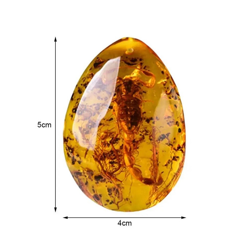 Kukaiņu akmens dabīgie skorpioni iekļaušana Dzintara Baltijas DIY kulonu kaklarota mājas dekoratīvā akmens kāzu ballītei