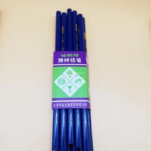 Rūpnieciskās kvalitātes īpašas kvalitātes zīmuļu pildspalva 10 gab/iepakojumā melna / sarkana / dzeltena / balta / violeta āda, plastmasa, porcelāns, metāls utt.