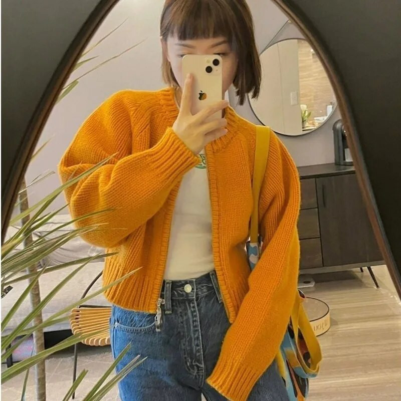 Sieviešu jaka dizains raža rudens korejiešu stils, vienkāršā, vienkāršā adīšana, jauna, ērta, retro stila, brīva, brīva laika dāmām, moderna