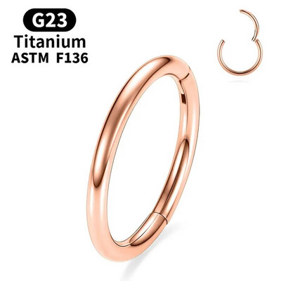 G23 Titano nosies auskarų vėrimas F136 Implantas 14G 16G 18G 20G Diafragma Tragus Piercing Seksualūs kūno papuošalai Didmeninė prekyba