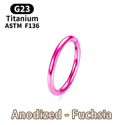 G23 Titano nosies auskarų vėrimas F136 Implantas 14G 16G 18G 20G Diafragma Tragus Piercing Seksualūs kūno papuošalai Didmeninė prekyba