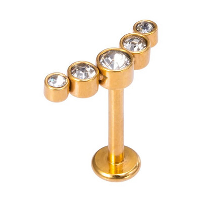 1vnt Crystal Flower Moon lūpų auskarų vėrimo žiedas Labret Bar Ausų kremzlės Stud auskarai Nerūdijančio plieno Tragus Helix kūno papuošalai 16G