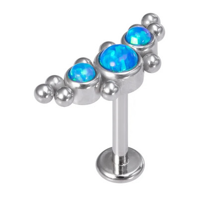 1vnt Crystal Flower Moon lūpų auskarų vėrimo žiedas Labret Bar Ausų kremzlės Stud auskarai Nerūdijančio plieno Tragus Helix kūno papuošalai 16G
